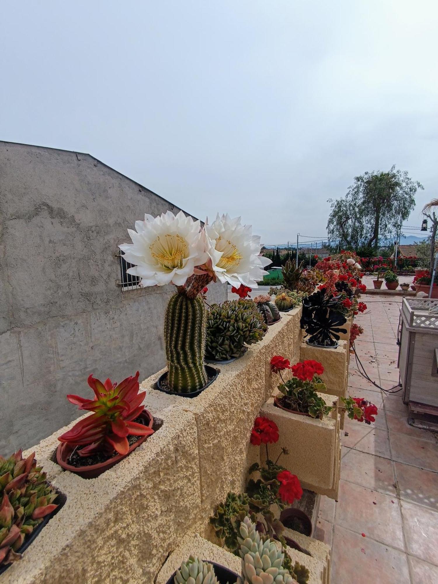 Casa Chalet Venta Ruizo Lorca  Luaran gambar