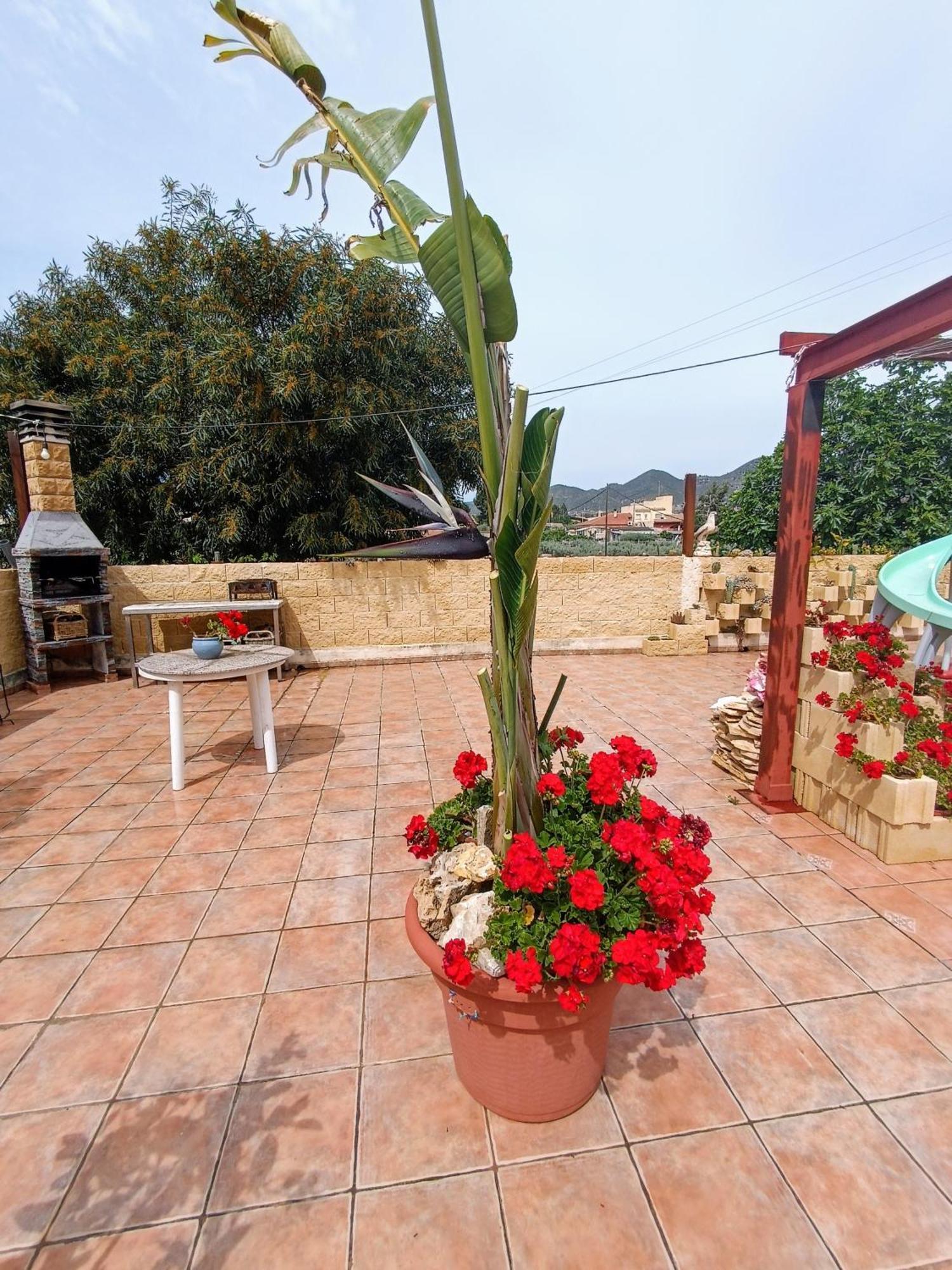 Casa Chalet Venta Ruizo Lorca  Luaran gambar