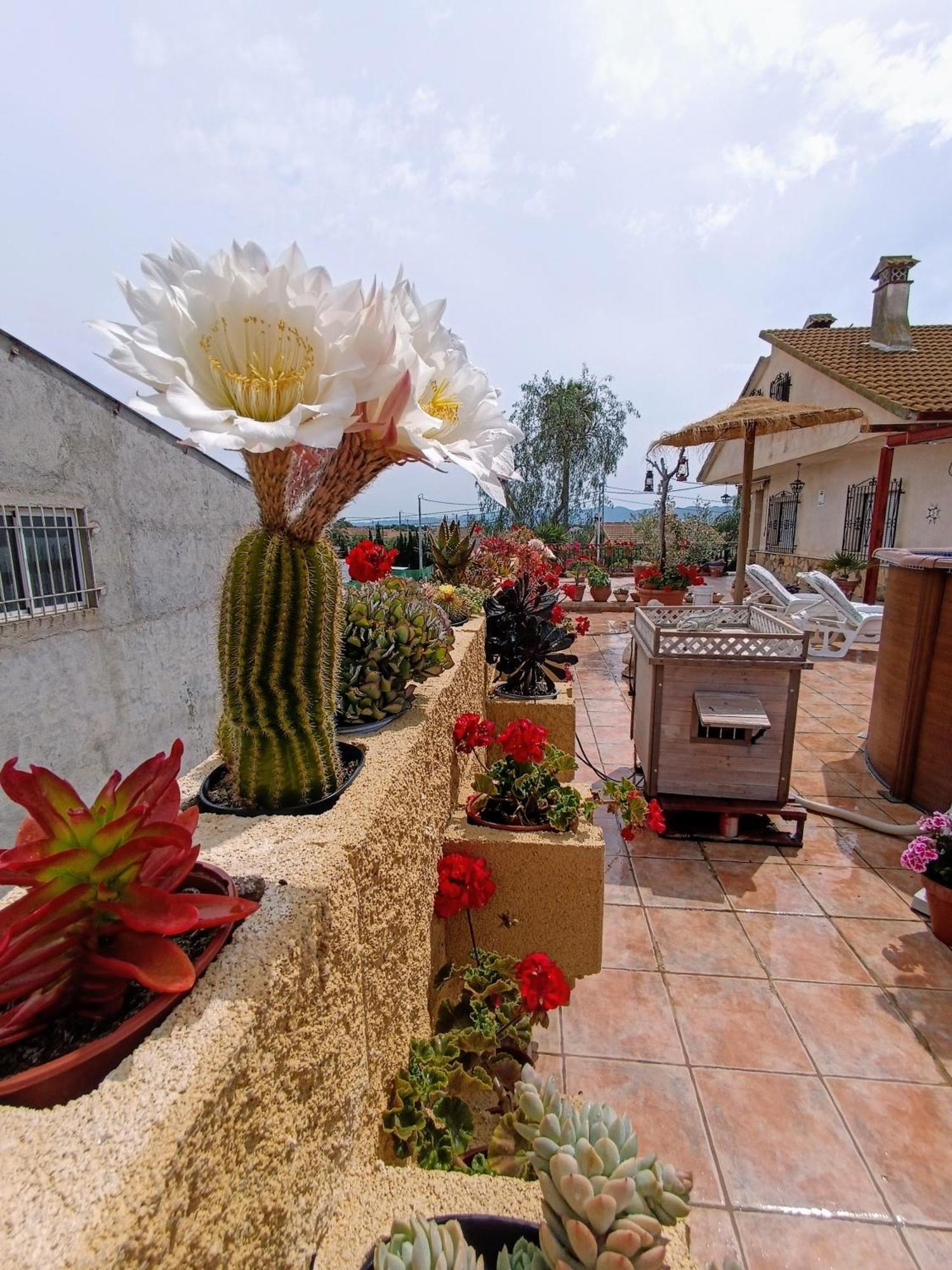 Casa Chalet Venta Ruizo Lorca  Luaran gambar